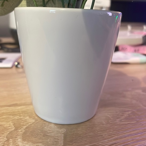 Ceramic Potted Office Plant - Picture 2 of 2